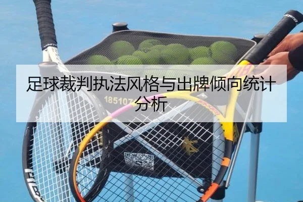 足球裁判执法风格与出牌倾向统计分析